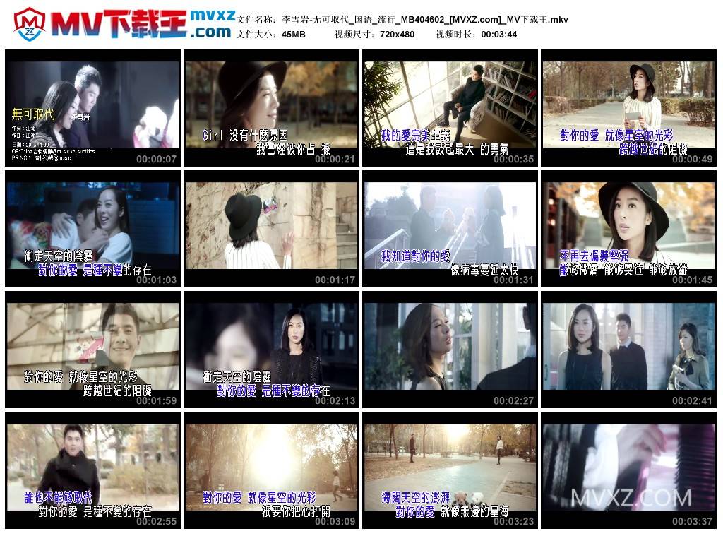 李雪岩-无可取代_国语_流行_MB404602